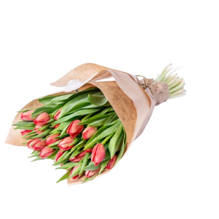 Bukiet Raj tulipanów
