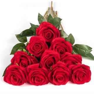 10 Rose rosse