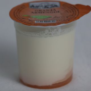 Iogurt Bifidus Desnatat Taronja Granja Armengol 125Gr