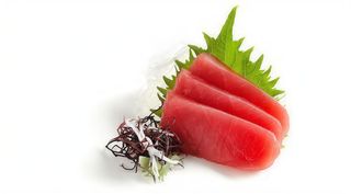 -202- Sashimi Maguro 4pz