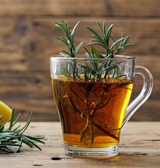 Thé Romarin Infusion