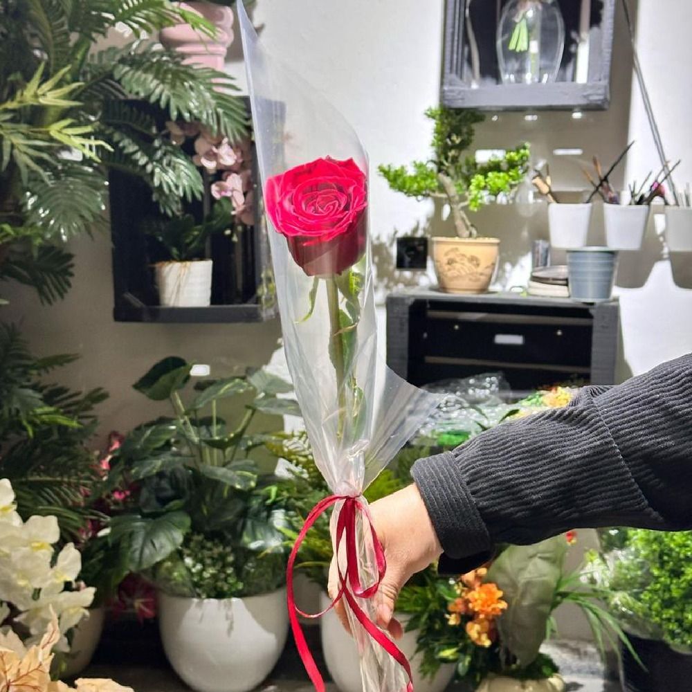 Bouquet de Roses - Unicolors