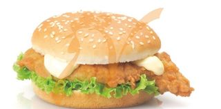 CHICKEN SPECIAL (MENÙ)