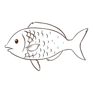 Pesce spada alla griglia con spinaci saporiti