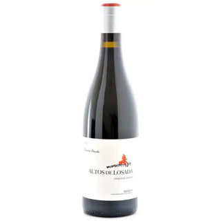 LOSADA-BIERZO