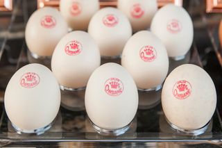 Jajka Owsiane S ® 12 Szt