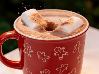 Новорічне какао з карамелізованим  маршмелоу