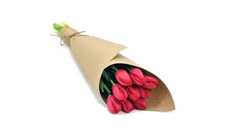 ტიტა 10 ცალი