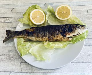 Гръцки пресен Лаврак