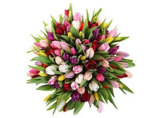 Микс лалета 71 бр