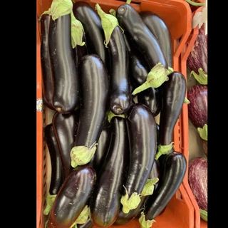 Melanzane lunghe al kg