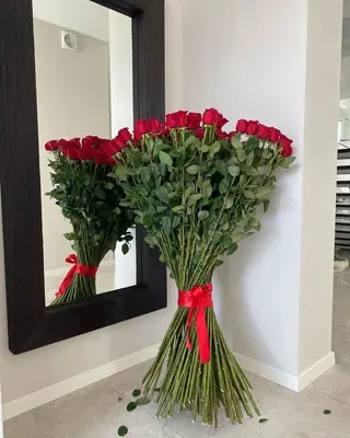 Klasyczna Czerwień 80-90 cm