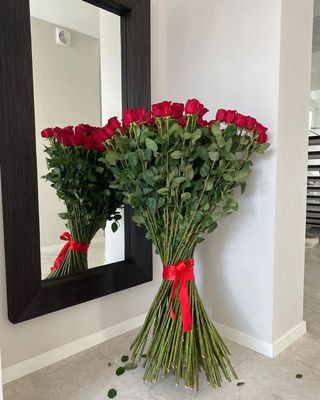 Klasyczna Czerwień 80-90 cm