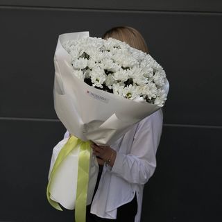 15 білих хризантем ромашка в упакуванні  перламутр  №53