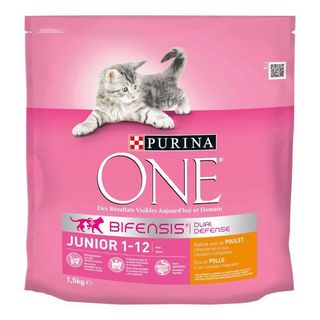 Purina one junior