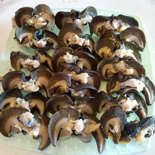 Small snails fresh 10pcs