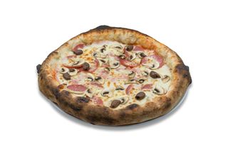 Pizza Quattro Sagioni