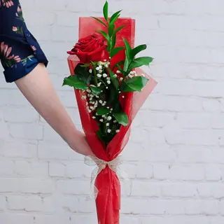 Special single Rose