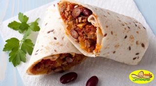 Burrito specijal juneći 1