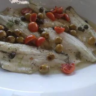 Platessa 