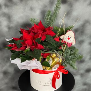 Bucuria Sărbătorilor