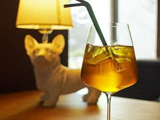 Яблучна сангрія WHITE WINE (450мл)