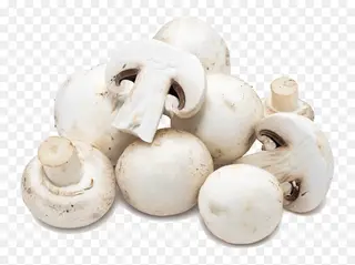 Funghi champignon 1 kg