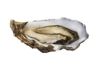 Ostriche concave 1 pezzo