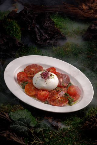 Roșii proaspete cu burrata
