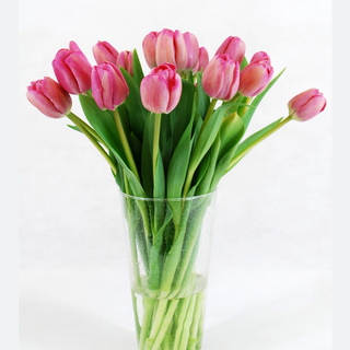 Cartucho Tulipanes Rosa