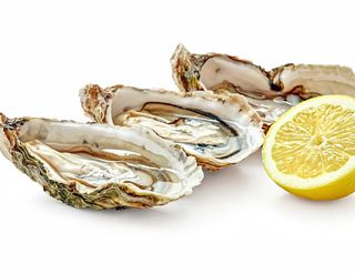 1050. Ostriche – 1 pezzo