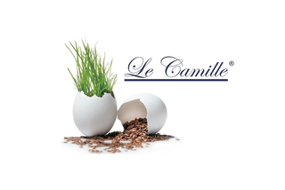 Uova le camille da 6