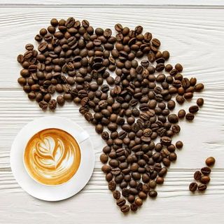 African Coffee White 