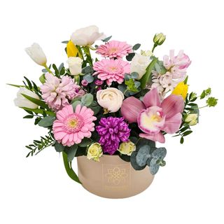 Primavara intr-o cutie