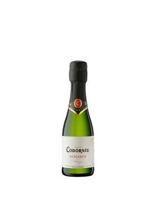 Codorniu Benjamin (20 Cl.)