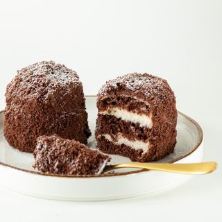 პოლ რობსონი