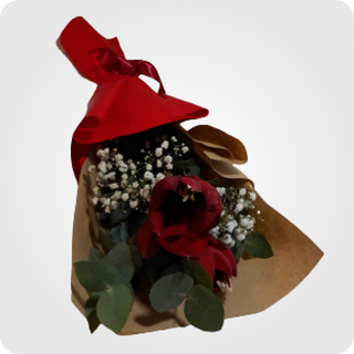 ამარელისი & გიფსოფილა