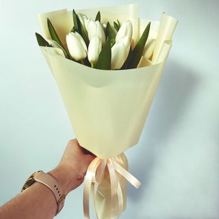 9 тюльпанів