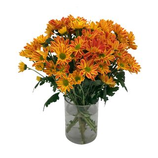 Ramo de margaritas naranjas