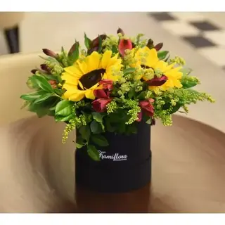 Flowerbox czarny ze słonecznikiem