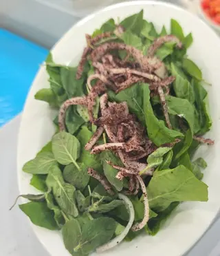Rocca Zaatar
