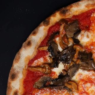 Funghi di bosco