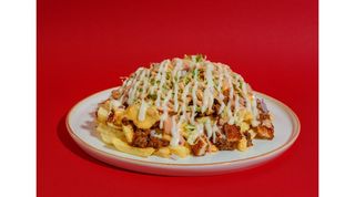 Combo Loaded Fries