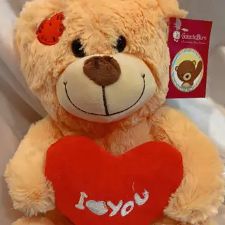 oso amor