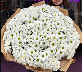 Поляна Хризантем л