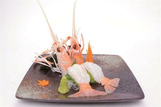 Sashimi Scampi