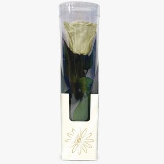 Rosa Blanca Preservada