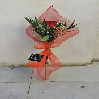 Rosa Roja Unidad