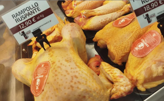 Petto di pollo biologico a fette cascina piemontese 1kg ca.