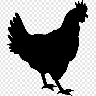 Bocadillo Chicken